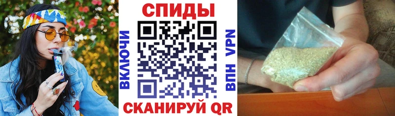 kraken маркетплейс  Шагонар  БУТИРАТ буратино 