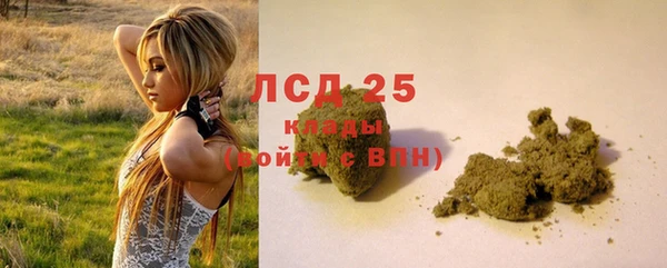 экстази Арсеньев