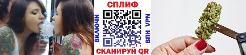 Шишки марихуана планчик  Шагонар 